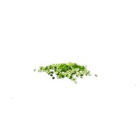 Peridot Round Stone 1.5mm