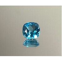 Topaz Lge Cushion