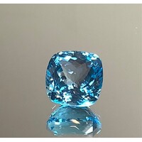 Topaz Lge Sq Cushion