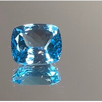 Topaz Lge Rectangular Cushion