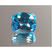 Topaz Lge Rectangular Cushion