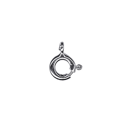 S/S Italian Boltring 6mm