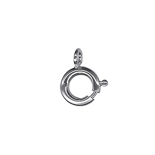 S/S Italian Boltring 8mm