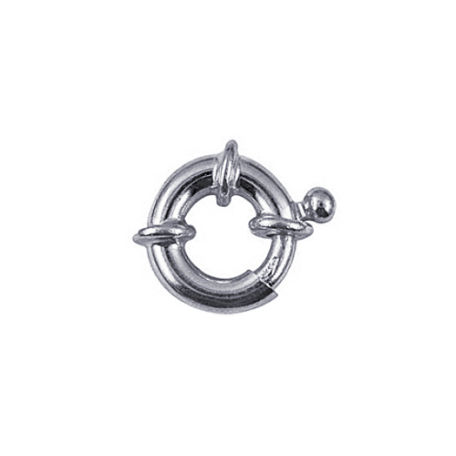 S/S Boltring 12mm