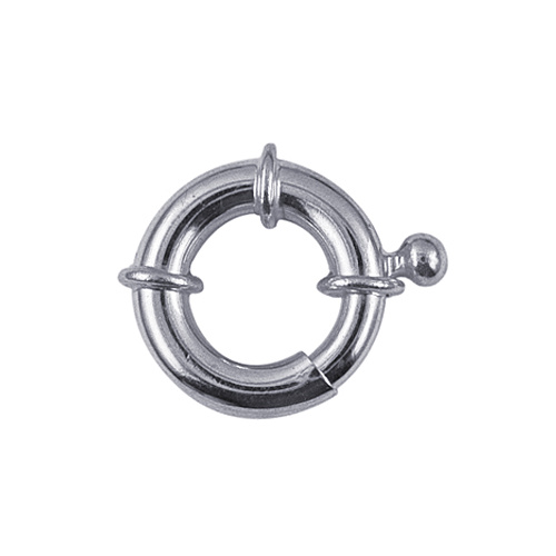 S/S Boltring 18mm