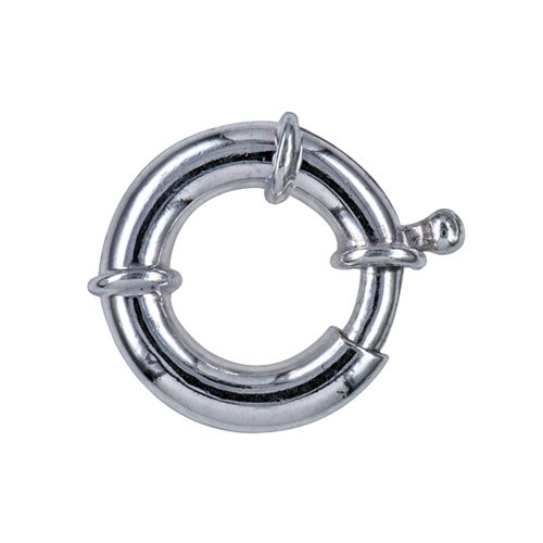 S/S Boltring 20mm