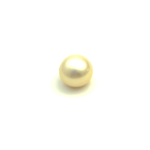 South Sea Gold Button 11.8 WG2