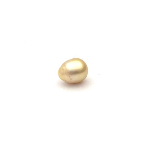 South Sea Gold S/Baroq 10.4 G2