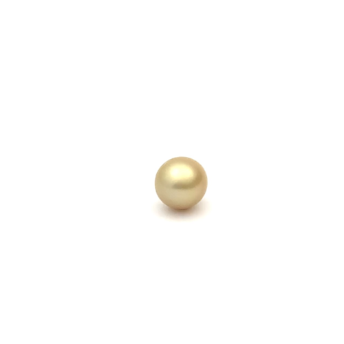 South Sea Gold S/Baroq 10.8 G2