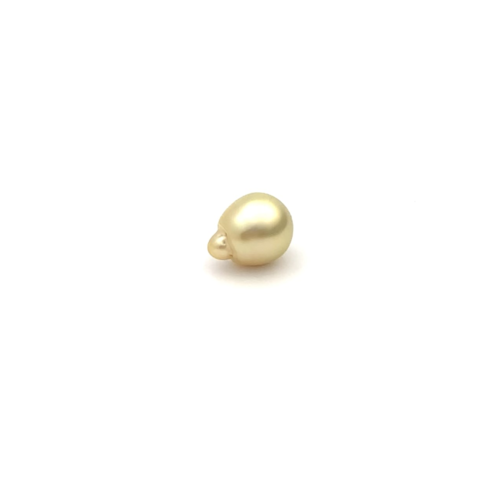South Sea Gold S/Baroq 11.0 G2