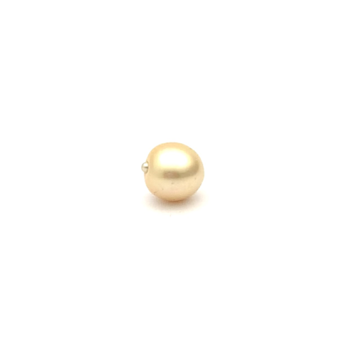 South Sea Gold S/Baroq 11.1 G2
