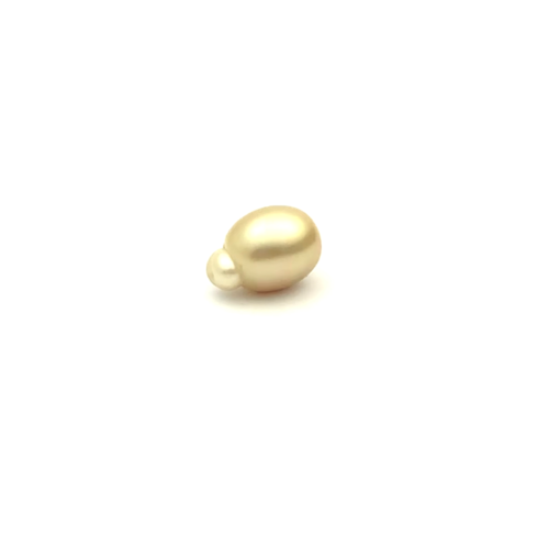 South Sea Gold S/Baroq 11.2 G2