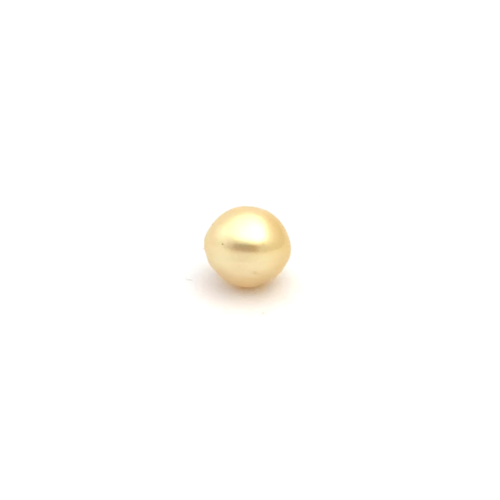 South Sea Gold S/Baroq 11.6 WG