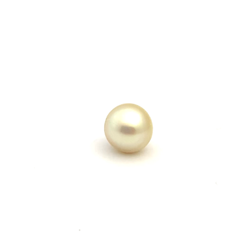 South Sea Gold S/Barq 11.9 WG2