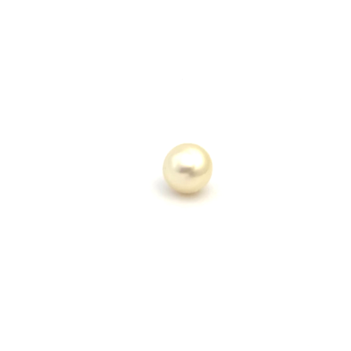 South Sea Gold S/Barq 12.2 WG2