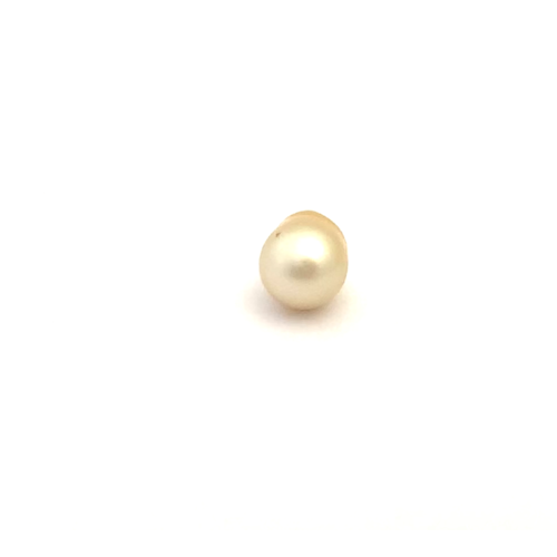 South Sea Gold S/Baroq 9.3 WG3