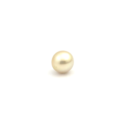 South Sea Gold Button 11.6 WG2