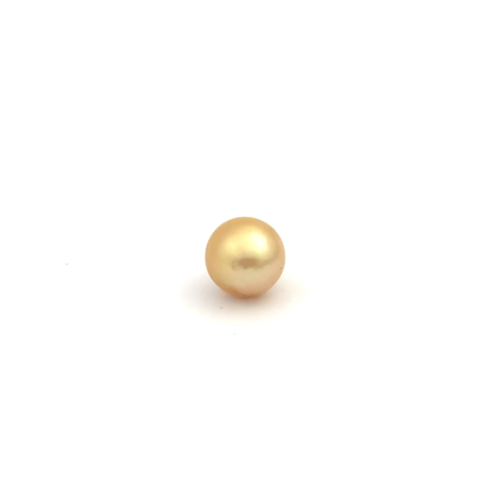 South Sea Gold S/Rnd 10.8 G2