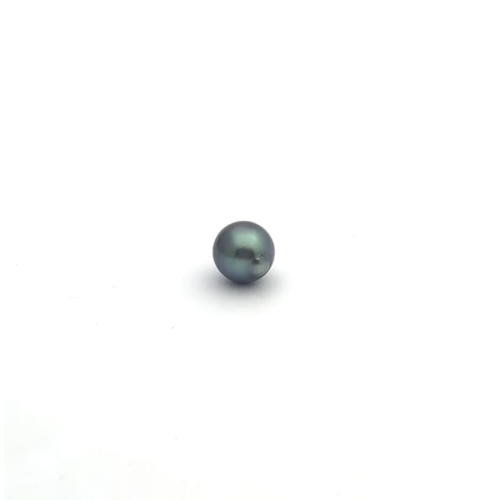 Black South Sea Button 9.1 A-