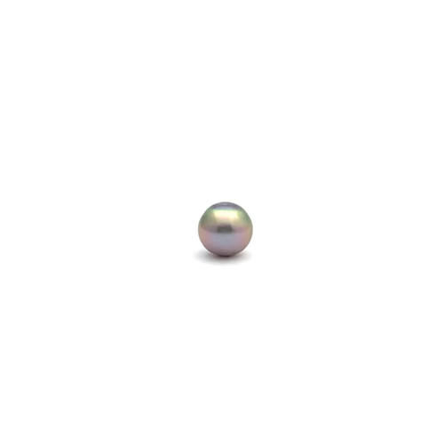 Black South Sea Button 9.3 A-