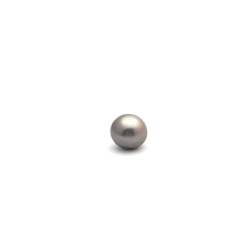 Black South Sea Button 10.3 A-