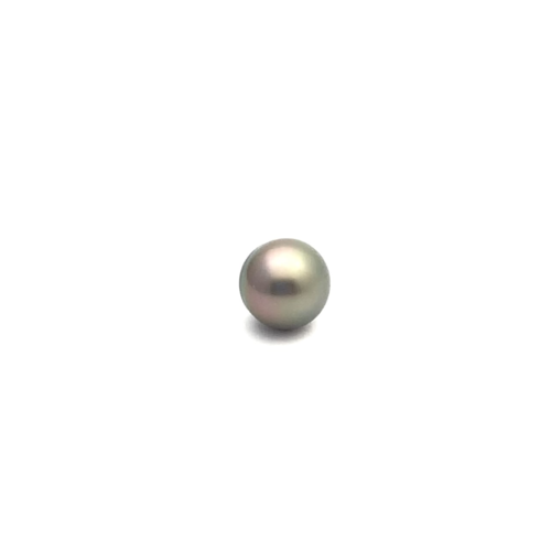 Black South Sea Button 10.7 A-