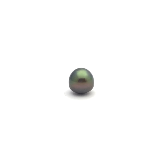 Black South Sea Button 11.2 A-