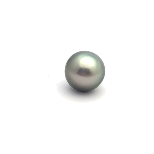 Black South Sea Button 12.5 B+