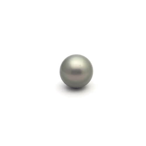 Black South Sea Button 13.6 B-