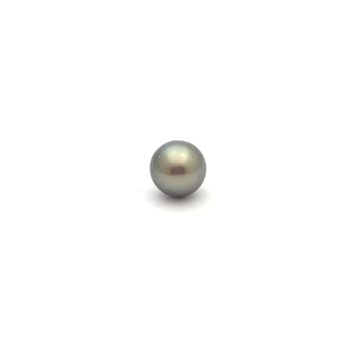 Black South Sea Round 10.6 B-