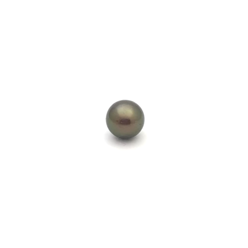 Black South Sea Round 10.7 B-