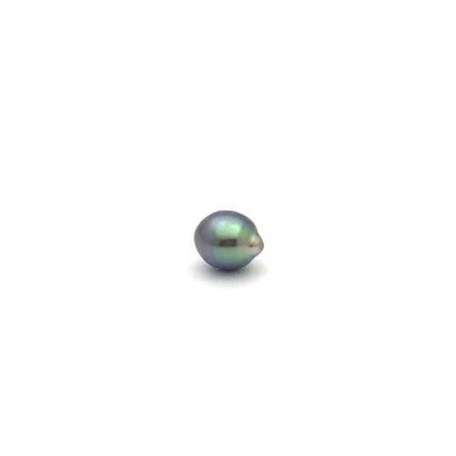 Black South Sea S/Baroq 9.8 A-