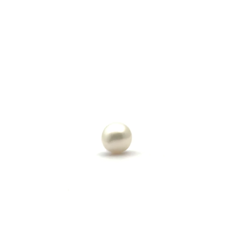White South Sea S/Brq 11.2 PW2