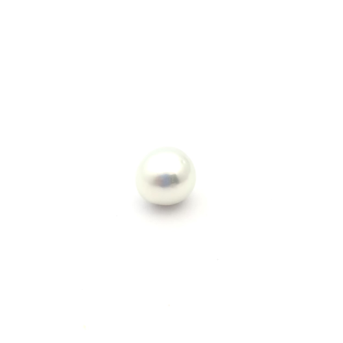 White South Sea S/Brq 11.3 PW2