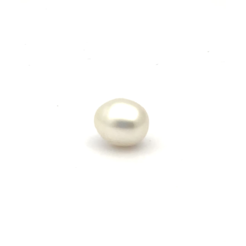 White South Sea S/Brq 12.0 W2