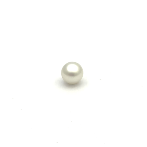 White South Sea Round 8.6 PW2