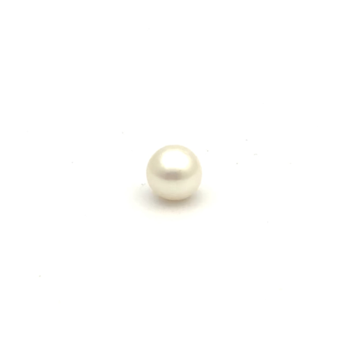 White South Sea 9.8 W3