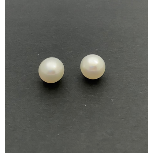 White South Sea s/brq 10.6 PW2