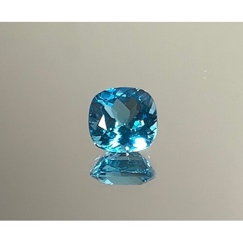 Topaz Lge Cushion