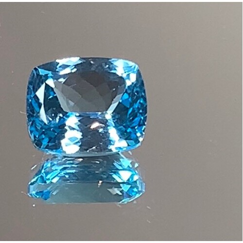 Topaz Lge Rectangular Cushion